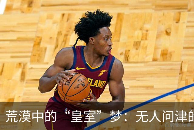 荒漠中的“皇室”梦：无人问津的比尔泰维勒